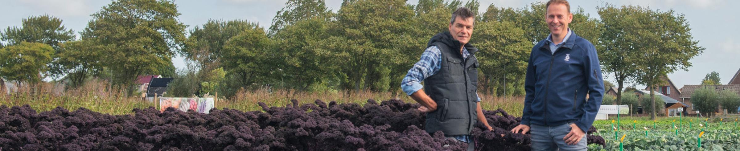 Anders denken over de teelt