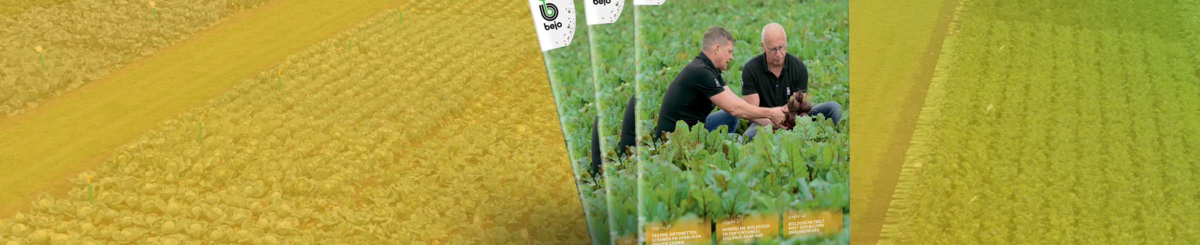 Organic magazine