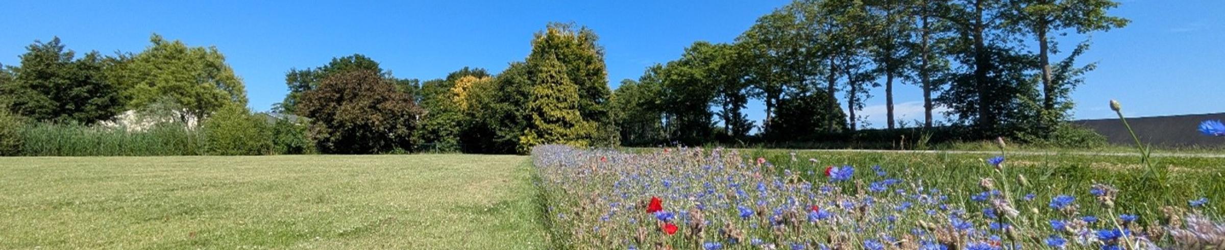 Geïntegreerde plaagbestrijding 