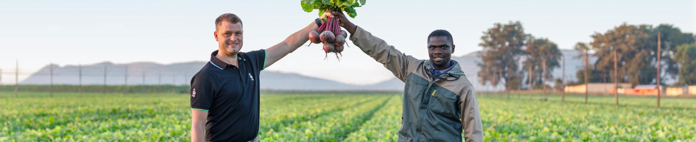beet-magazine