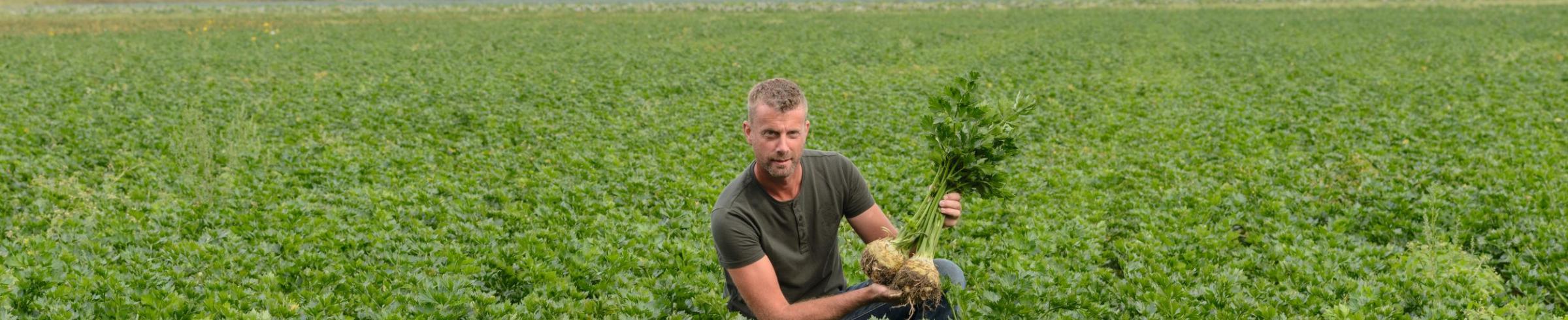 Biologisch telen