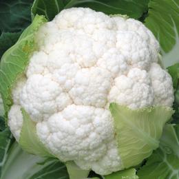 Cauliflower