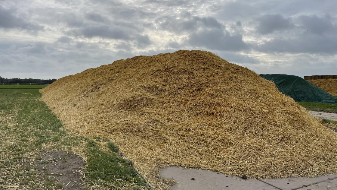 Bieten onder stro-dek