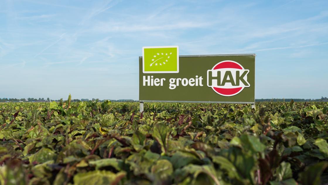 Hier-groeit-HAK-bord-in-het-biologische-bietenveld