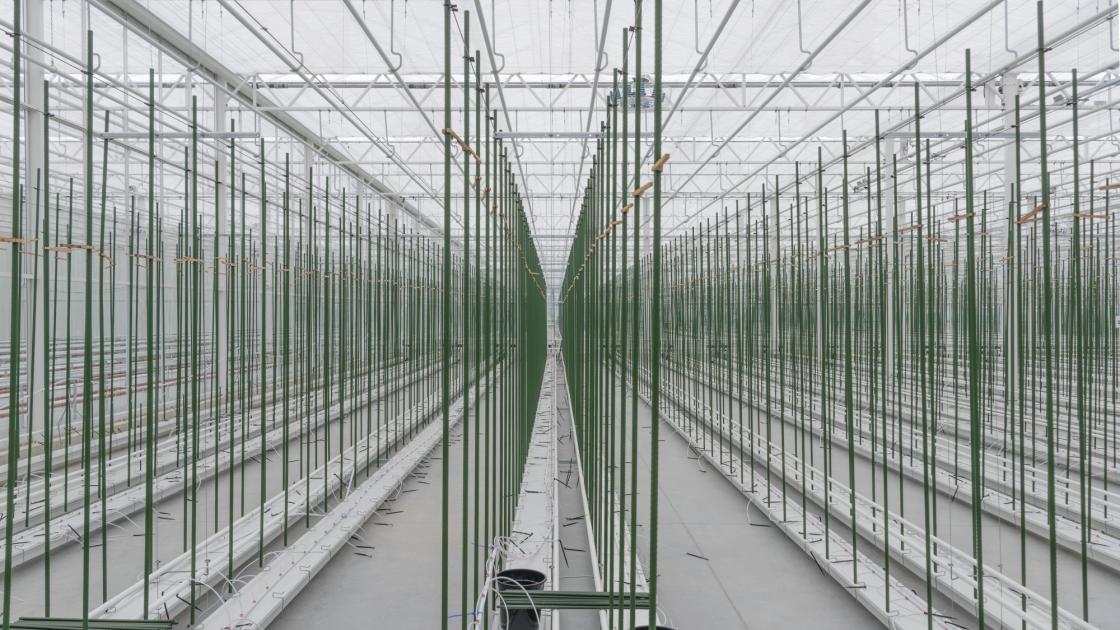 plant nursery