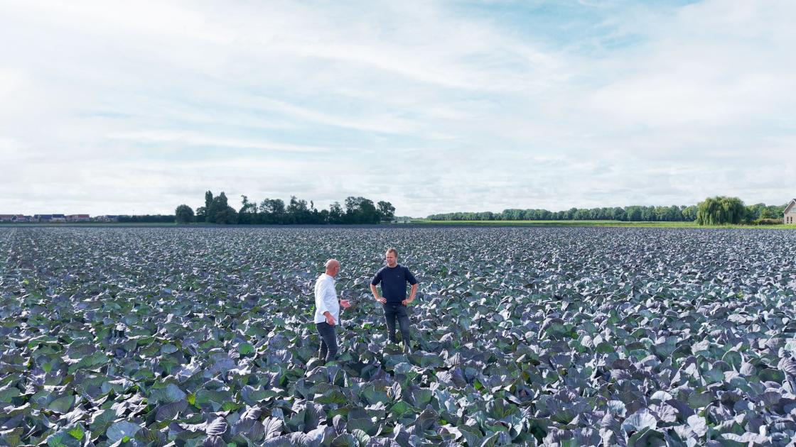 Red Power field grower and chef