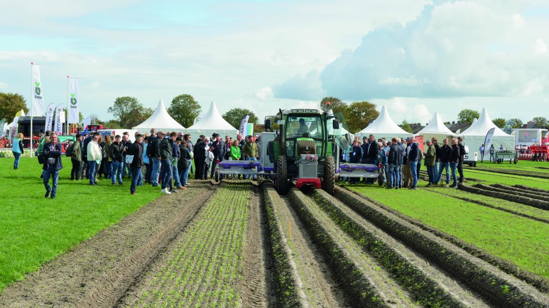 Bejo Open Dagen 2026