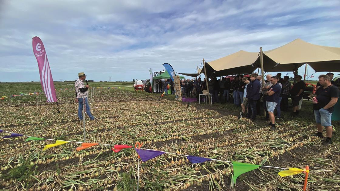 Het uienfestival