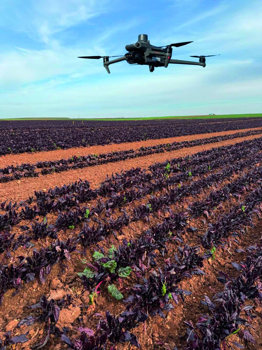 Drone