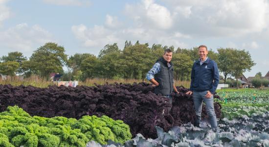 Anders denken over de teelt