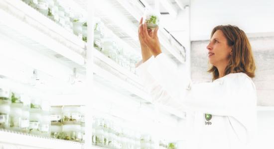natural resistance in vegetable crops