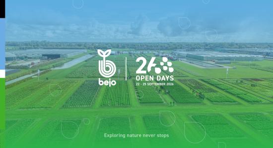 Bejo Open Dagen 2026