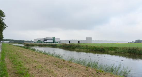 plant nursery