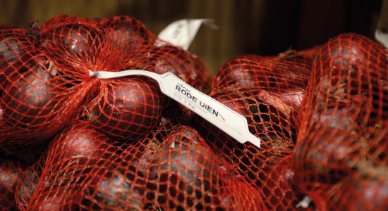 red onion