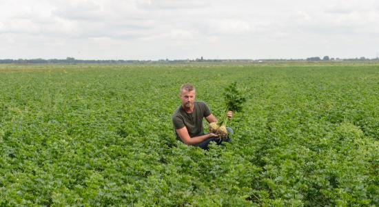 Biologisch telen